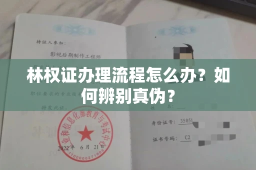 苏州林权证办理流程怎么办?如何辨别真伪?